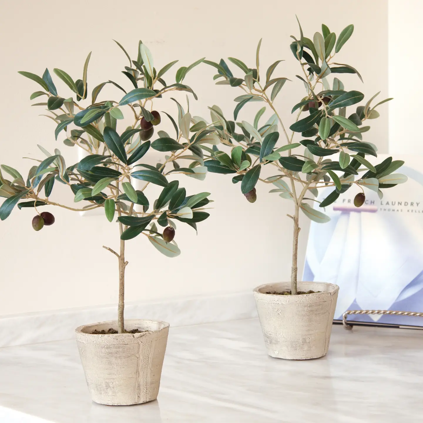 Potted olive trees styled on a warm marble console